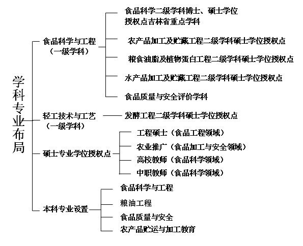 學科布局