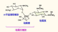 黃鏈黴素