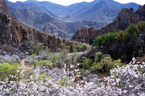 努魯兒虎山(努魯爾虎山)