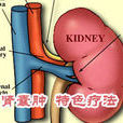 腎囊腫尿毒症