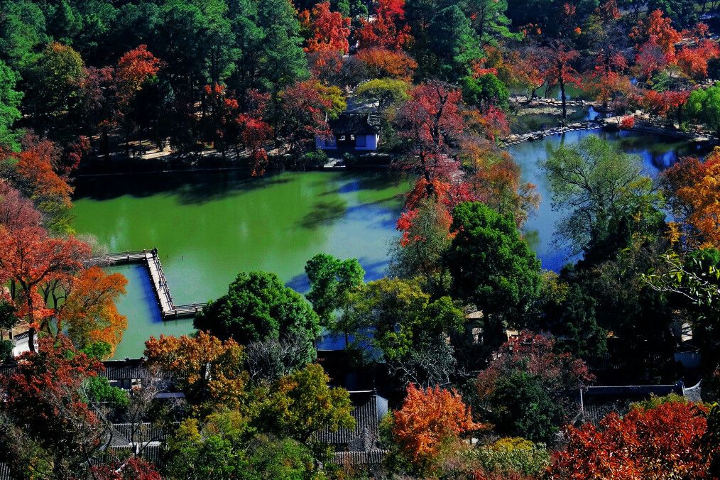 泰興市紅楓園景區