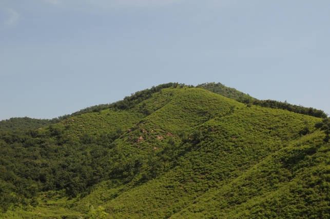 石龍區(石龍（河南省平頂山市下轄區）)