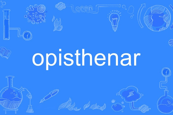 opisthenar