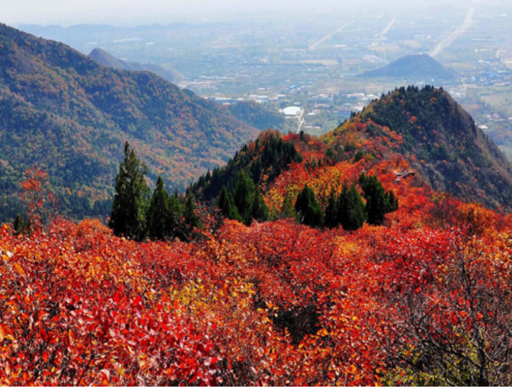 北京十三陵國家森林公園