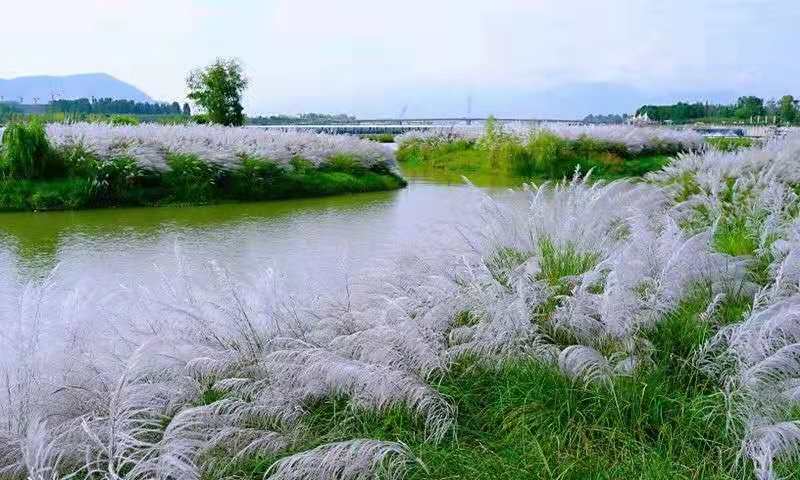 天漢濕地公園