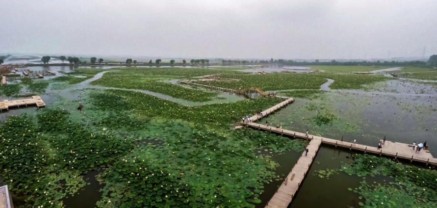 安徽淮南焦崗湖國家濕地公園