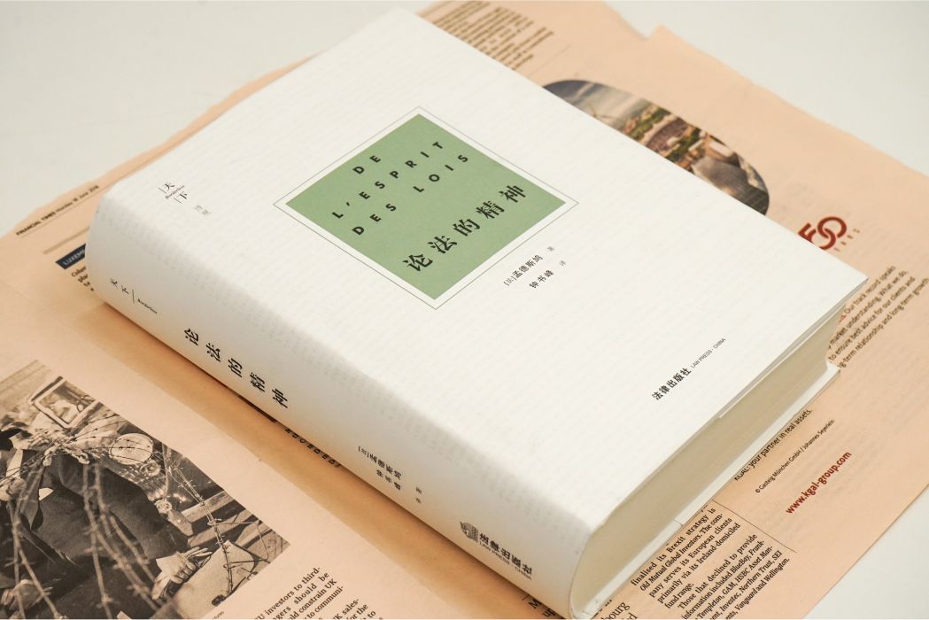 論法的精神(2020年法律出版社出版的圖書)