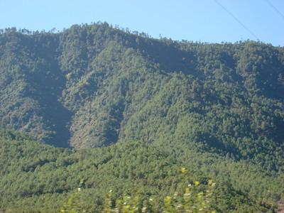 玉水坪村生態山林