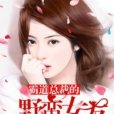 霸道總裁的野蠻女友(喵九所著小說)