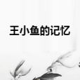 王小魚的記憶