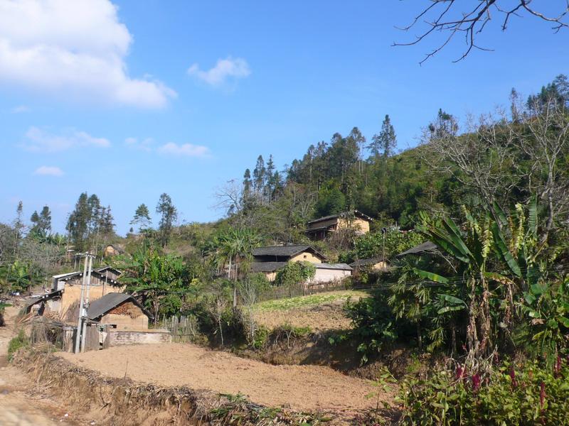 多依樹村(多依樹村：雲南紅河州屏邊縣新華鄉下轄村)