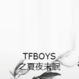 TFBOYS之夏夜未眠