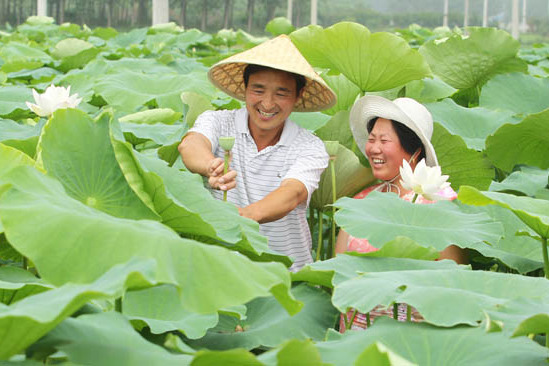 韓村鎮小湖村