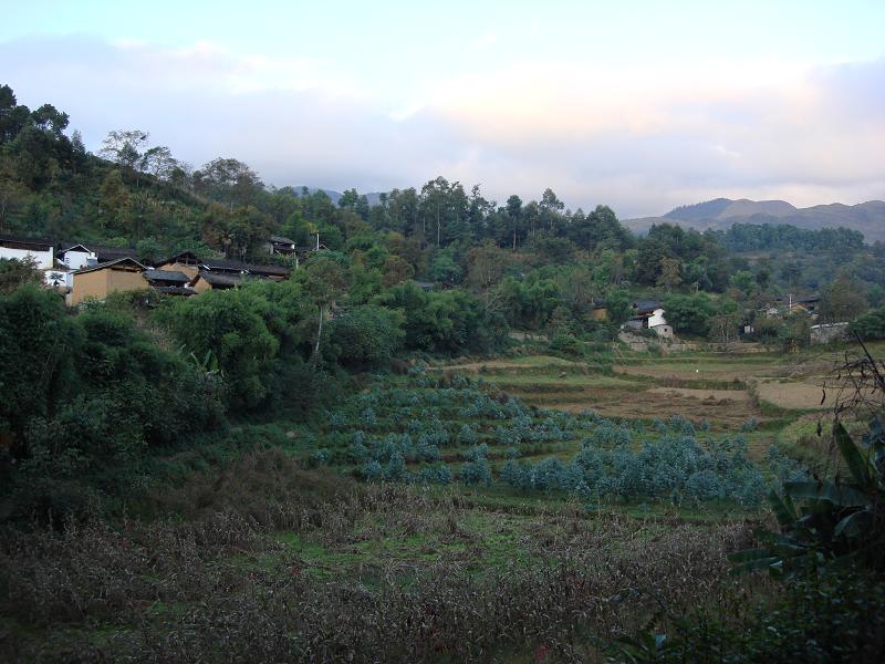 上梨樹自然村