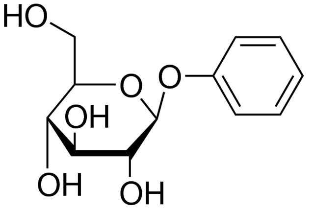 苯基-β-D-吡喃葡萄糖苷