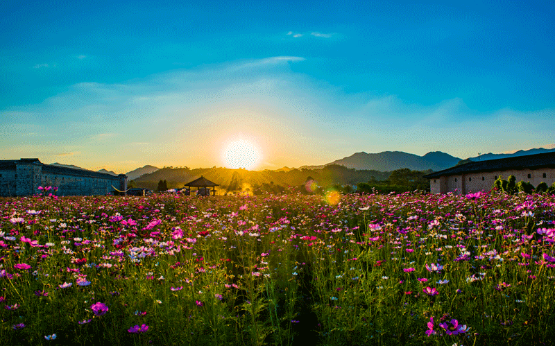 東生圍與米生圍