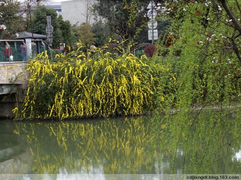 浣花