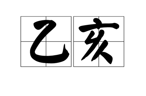 乙亥(乙亥年（天干地支）)