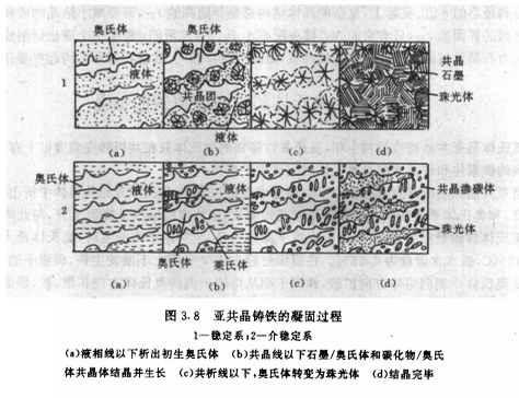 亞共晶鑄鐵的凝固過程