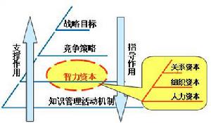 智力資本