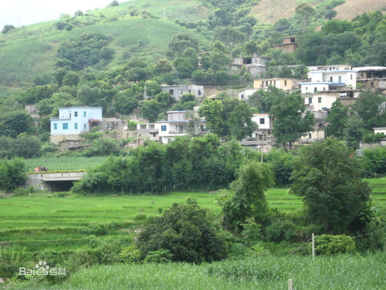 東高寨村