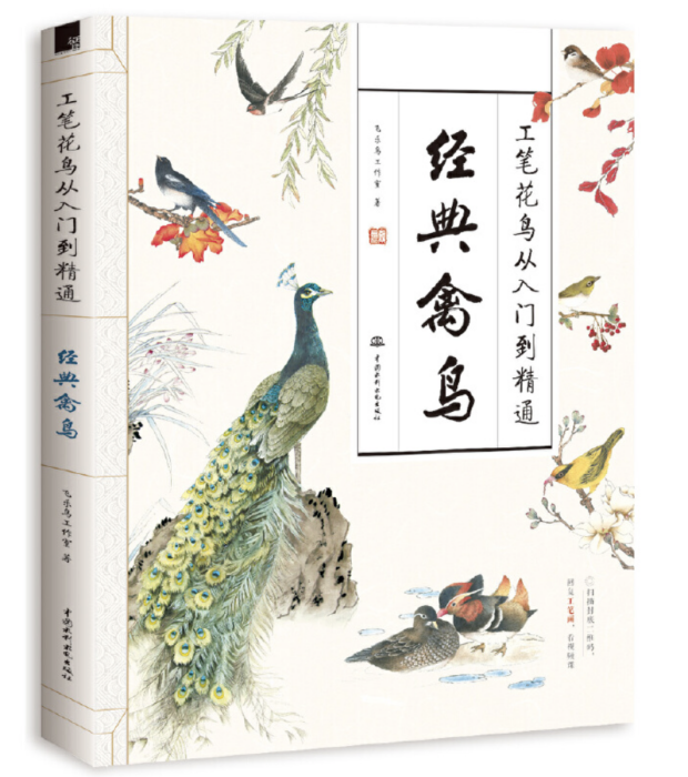 工筆花鳥從入門到精通經典禽鳥