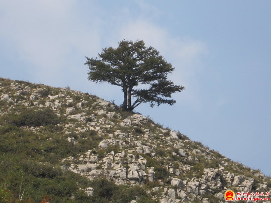 金山樑全景