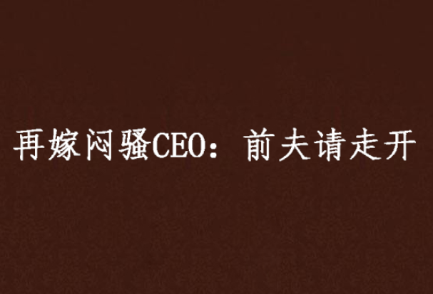 再嫁悶騷CEO：前夫請走開