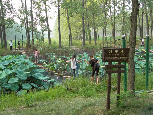 洪澤湖森林公園