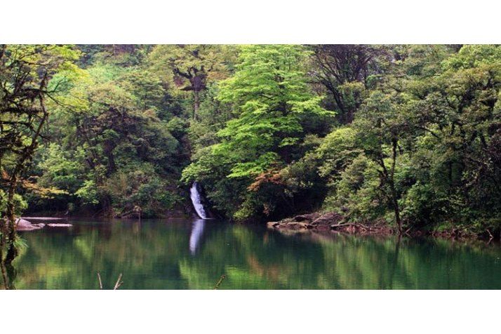 大雪峰原始森林風景名勝區