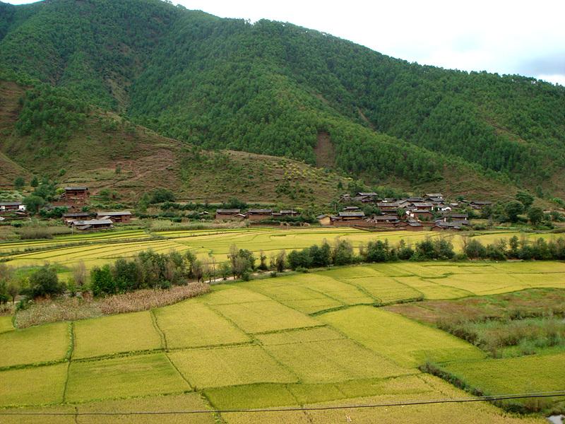 雷家村自然村