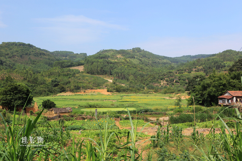 風沿村