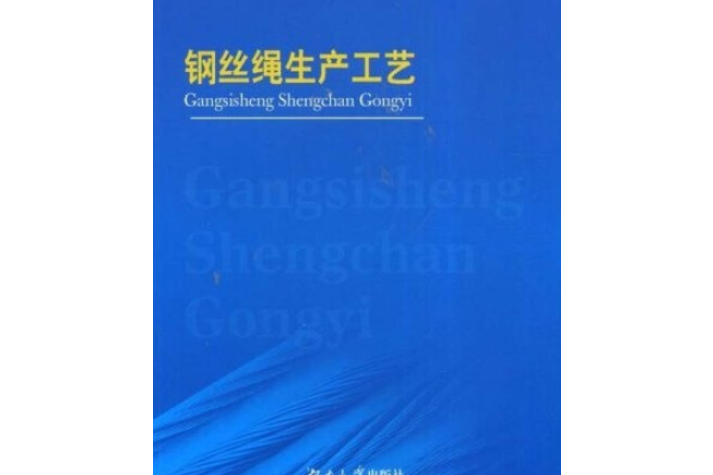 鋼絲繩生產工藝(2008年湖南大學出版社出版的圖書)