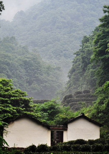 白龍潭村(雲南省曲靖市馬龍縣馬過河鎮白龍潭村)