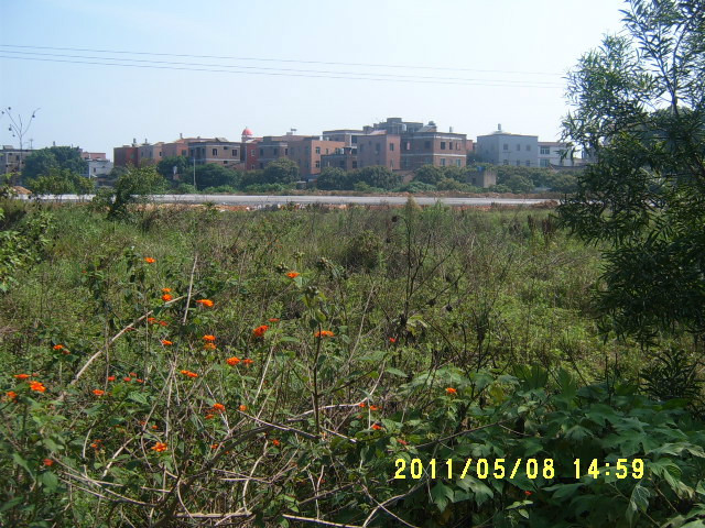 西浦村(福建省廈門市同安區西浦村)