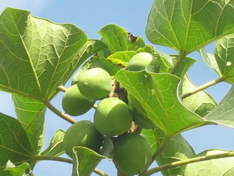 下幫介自然村