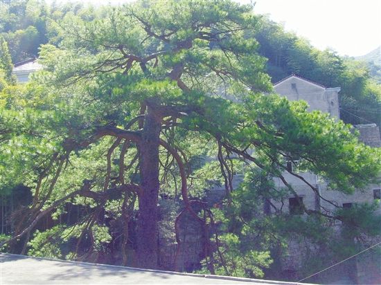 白龍潭村(雲南省祿勸縣轉龍鎮下轄村)