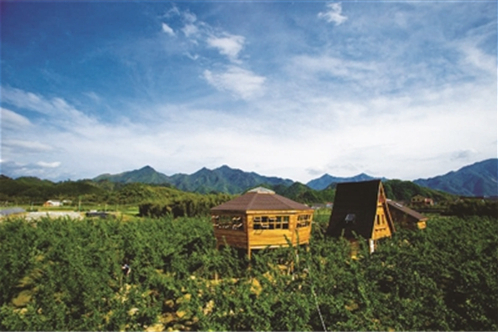 雲浪村