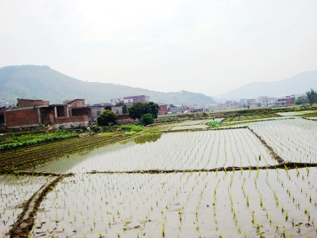 福山村