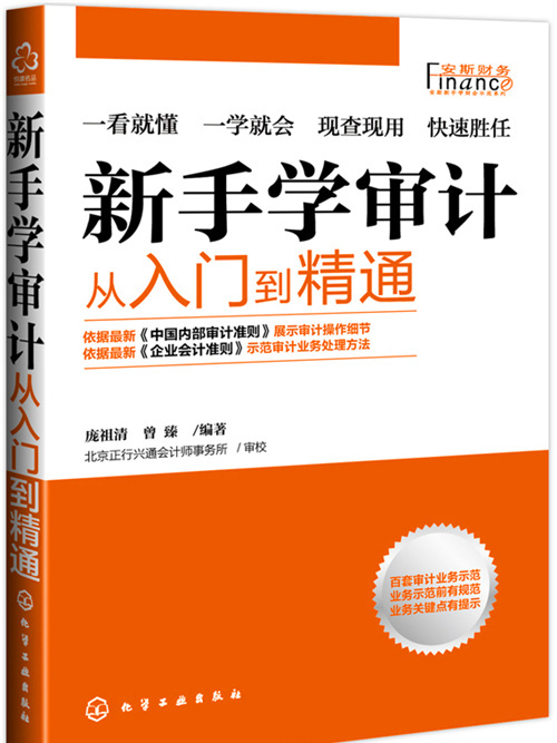 新手學審計――從入門到精通