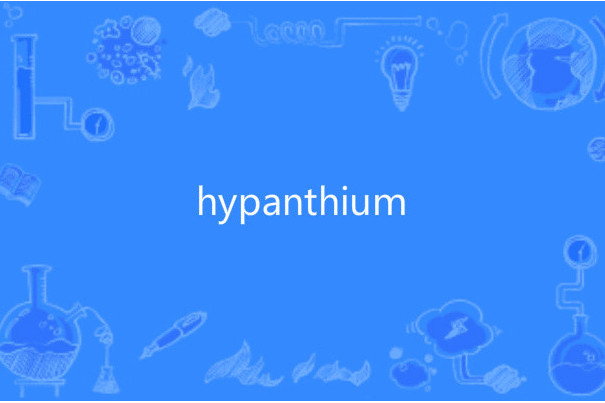 hypanthium