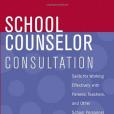 School Counselor Consultation