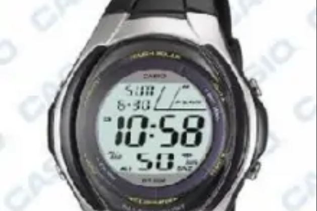 CASIO WL-S21H-1BV