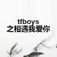 tfboys之相遇我愛你