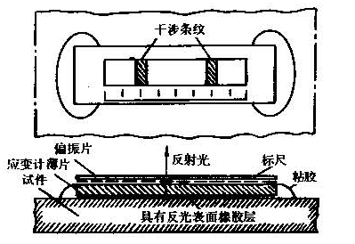 圖1 單軸光彈性應變計結構示意圖