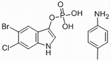 分子結構式