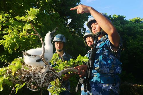 巡邏中和白鰹鳥相遇