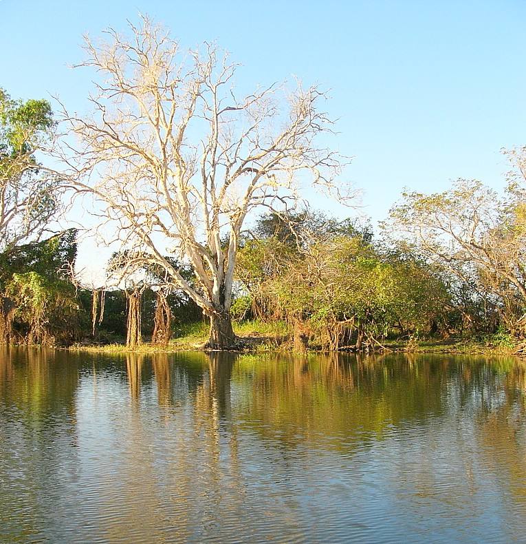 比亞沃耶扎國家公園