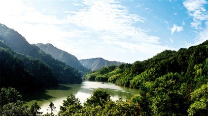 貴州赤水竹海國家森林公園