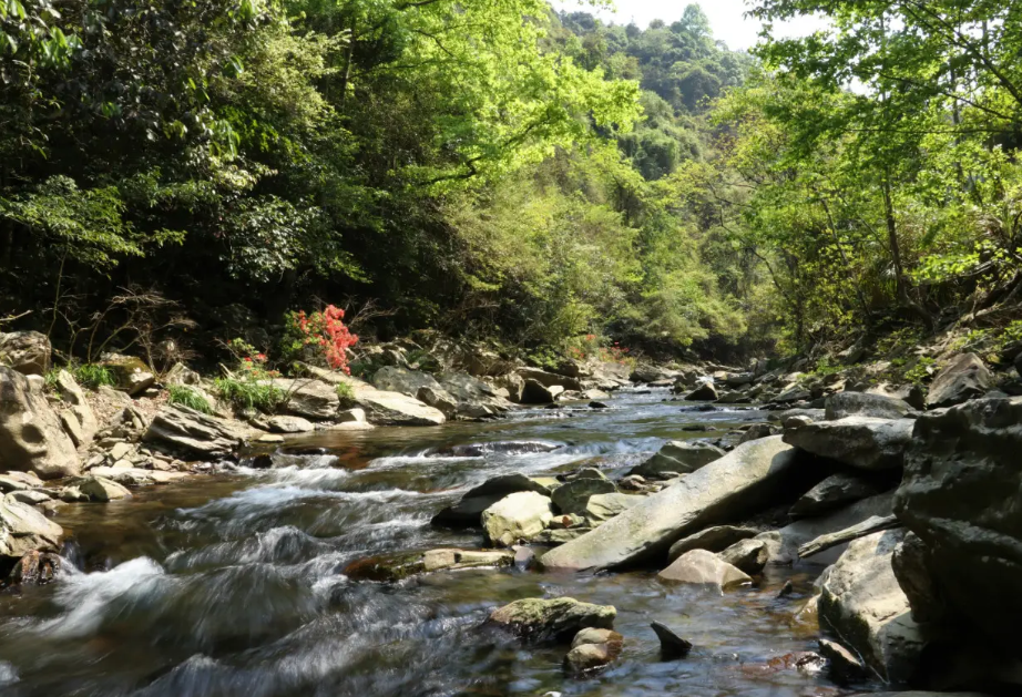 江西羅霄山大峽谷國家森林公園